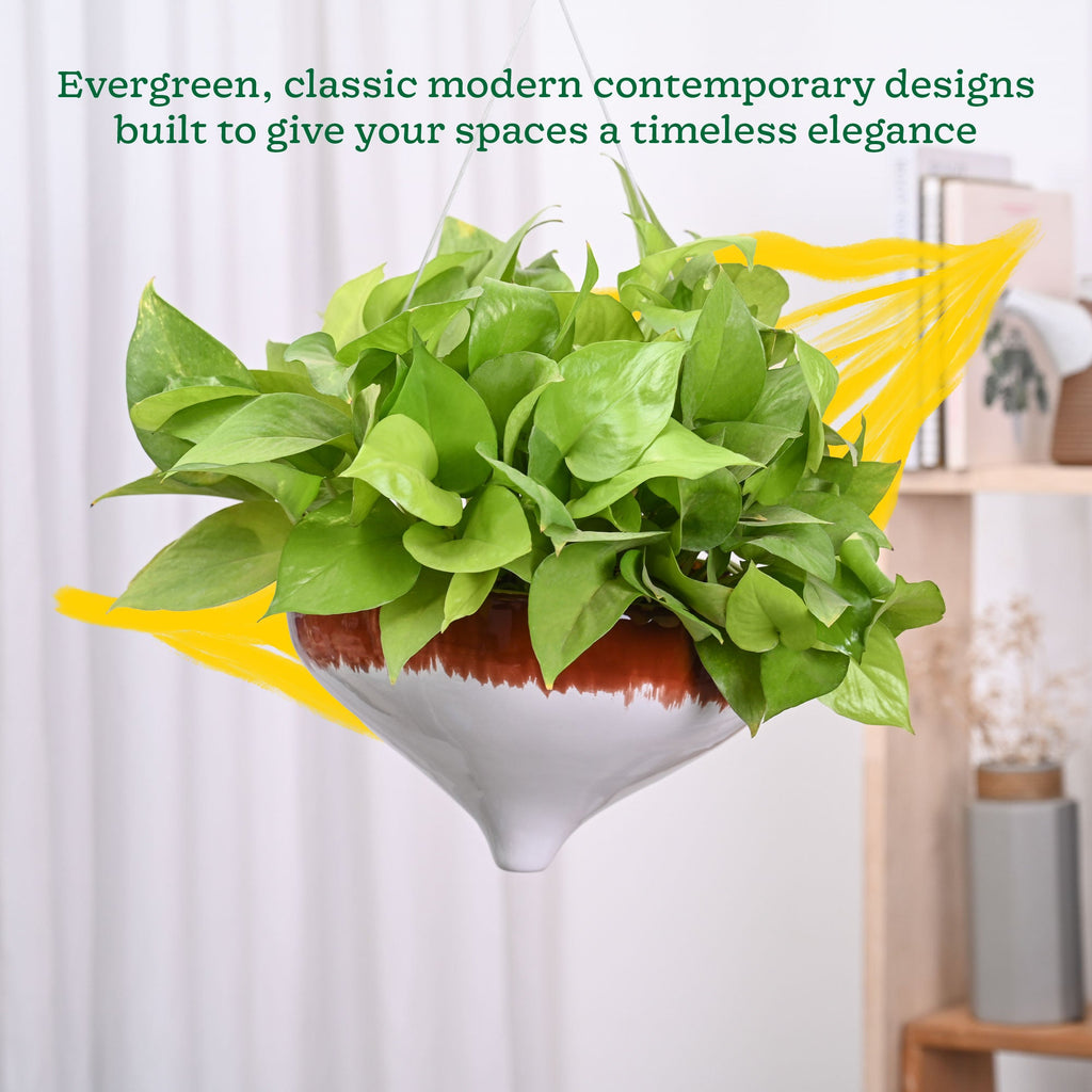 Ceramic Hanging Pot Cosmic Stone