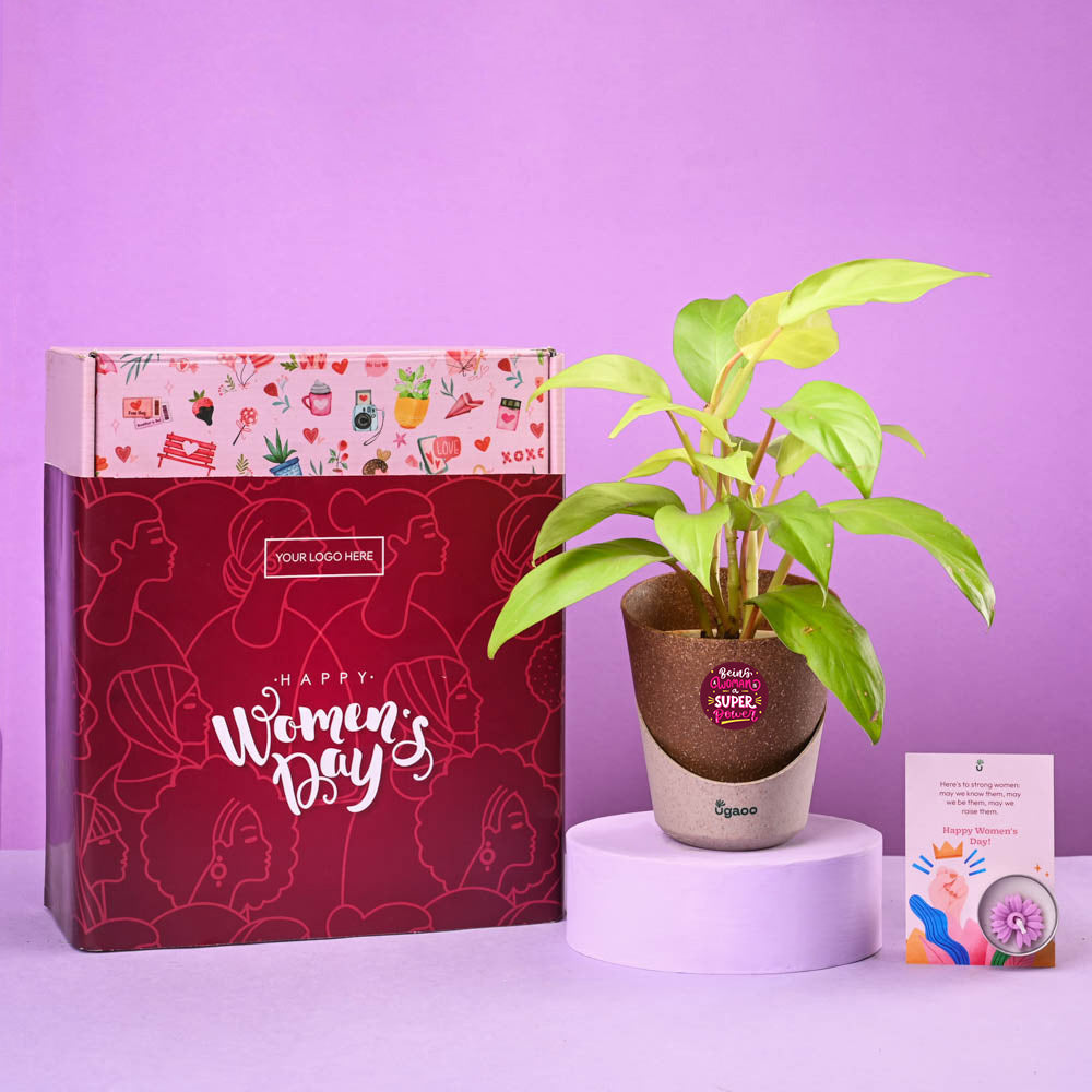 Philodendron Ceylon Indulgence Women's Day Gift