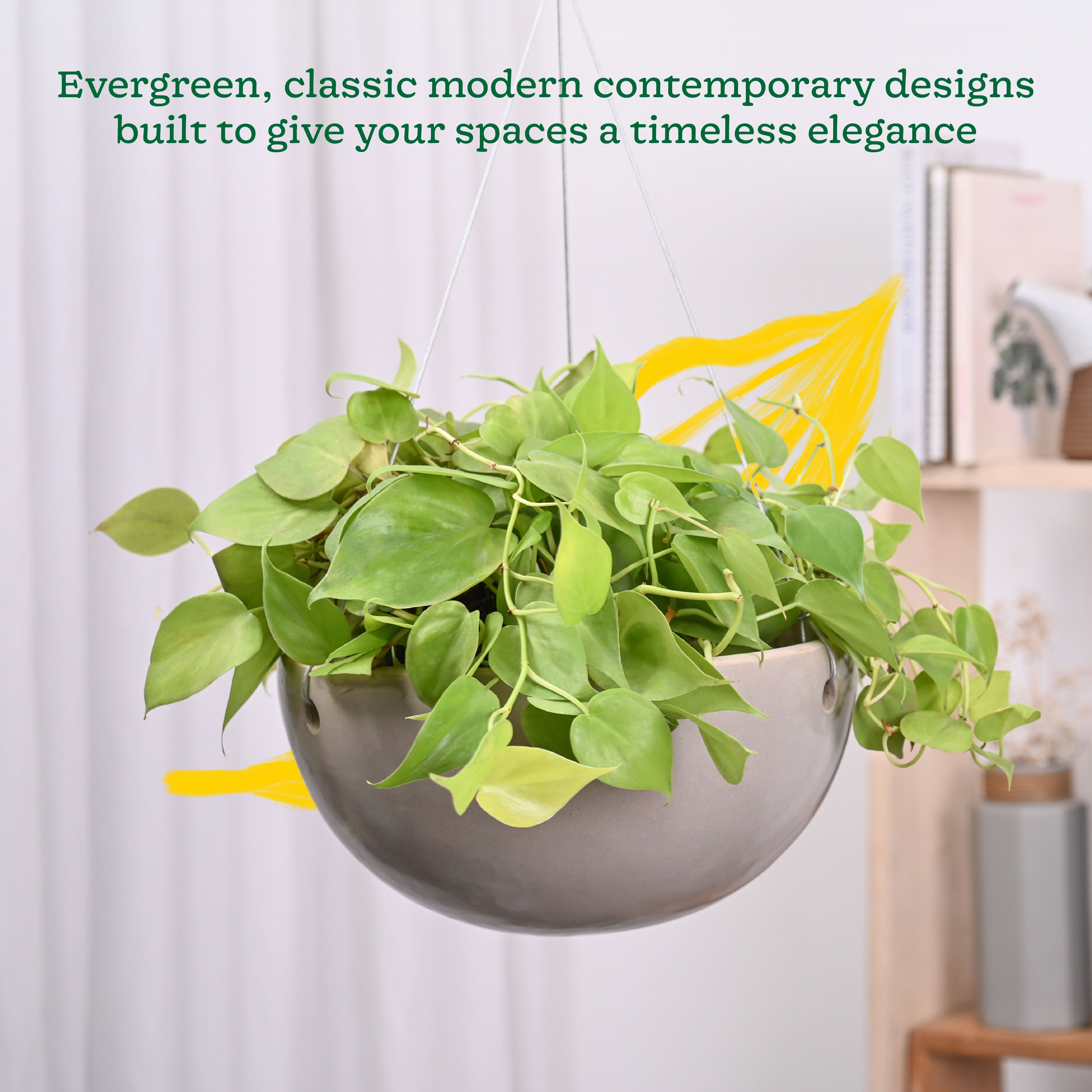 Hanging Ceramic Planters Petrichor Smite