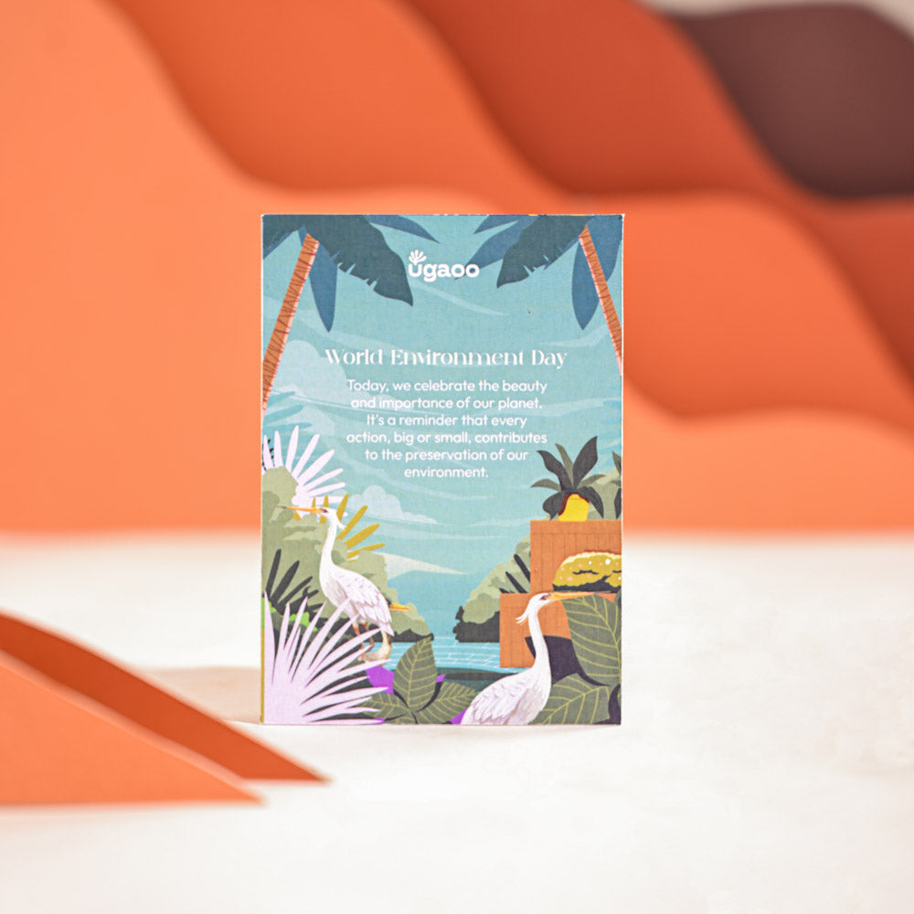 Philodendron Brasil Plant For Environment Day Gifting