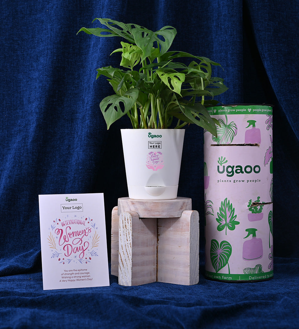 Plant with Crunch & Crisps For Women's Day