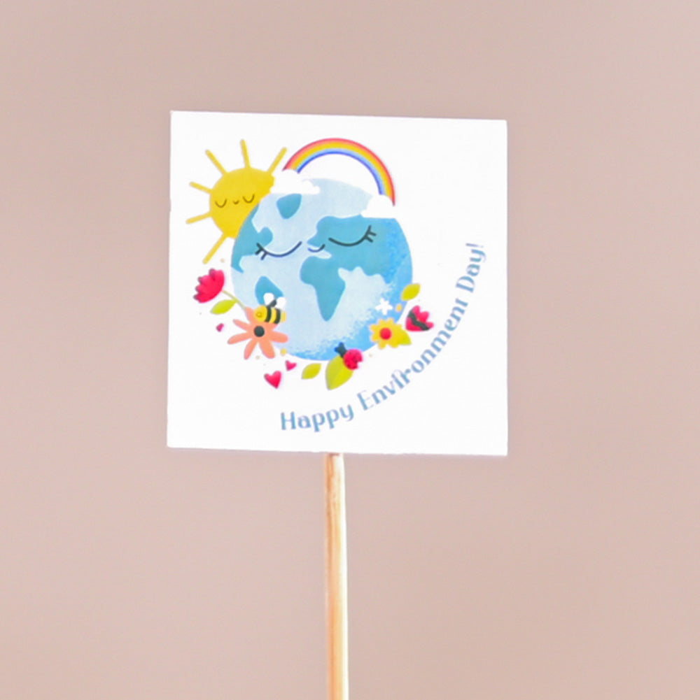 Fittonia Green Plant (Nerve Plant) For Environment Day Gifting