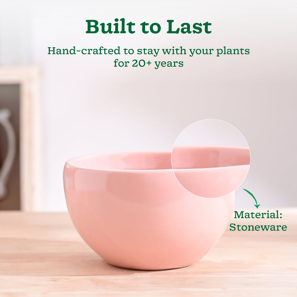 Nature's Hum Fat Ceramic Planter