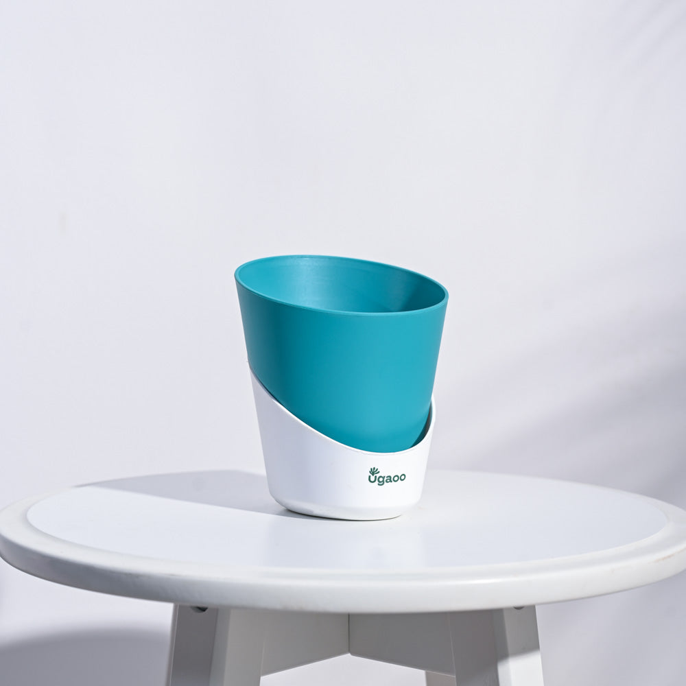 Atlantis Self Watering Planter - 4 Inch (Set of 5)