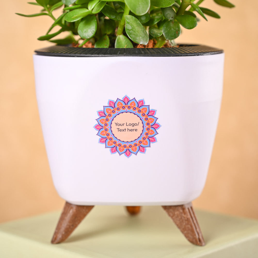 Jade Mini & Epiphany Diwali Gift Hamper