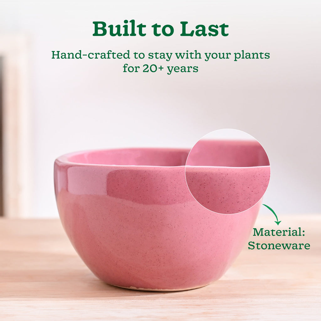 Nature's Hum Fat Ceramic Planter