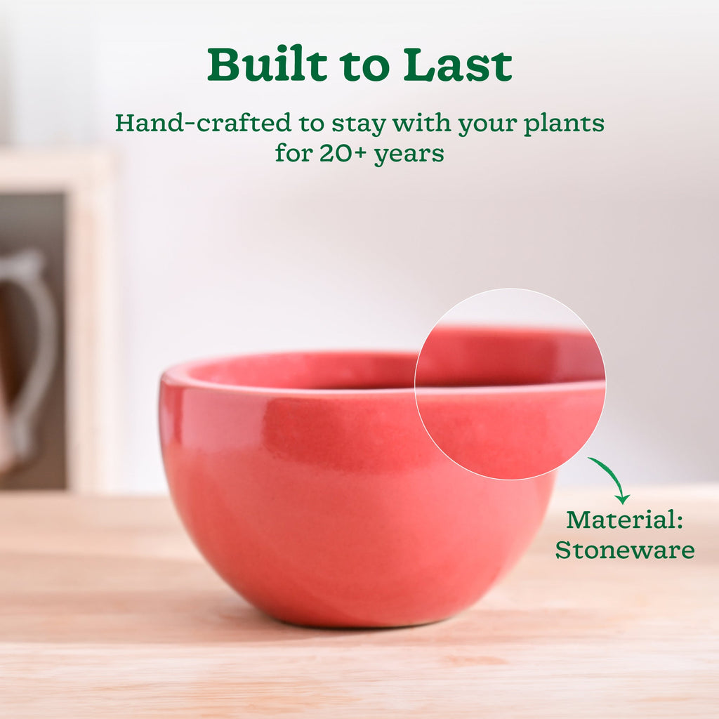 Nature's Hum Fat Ceramic Planter