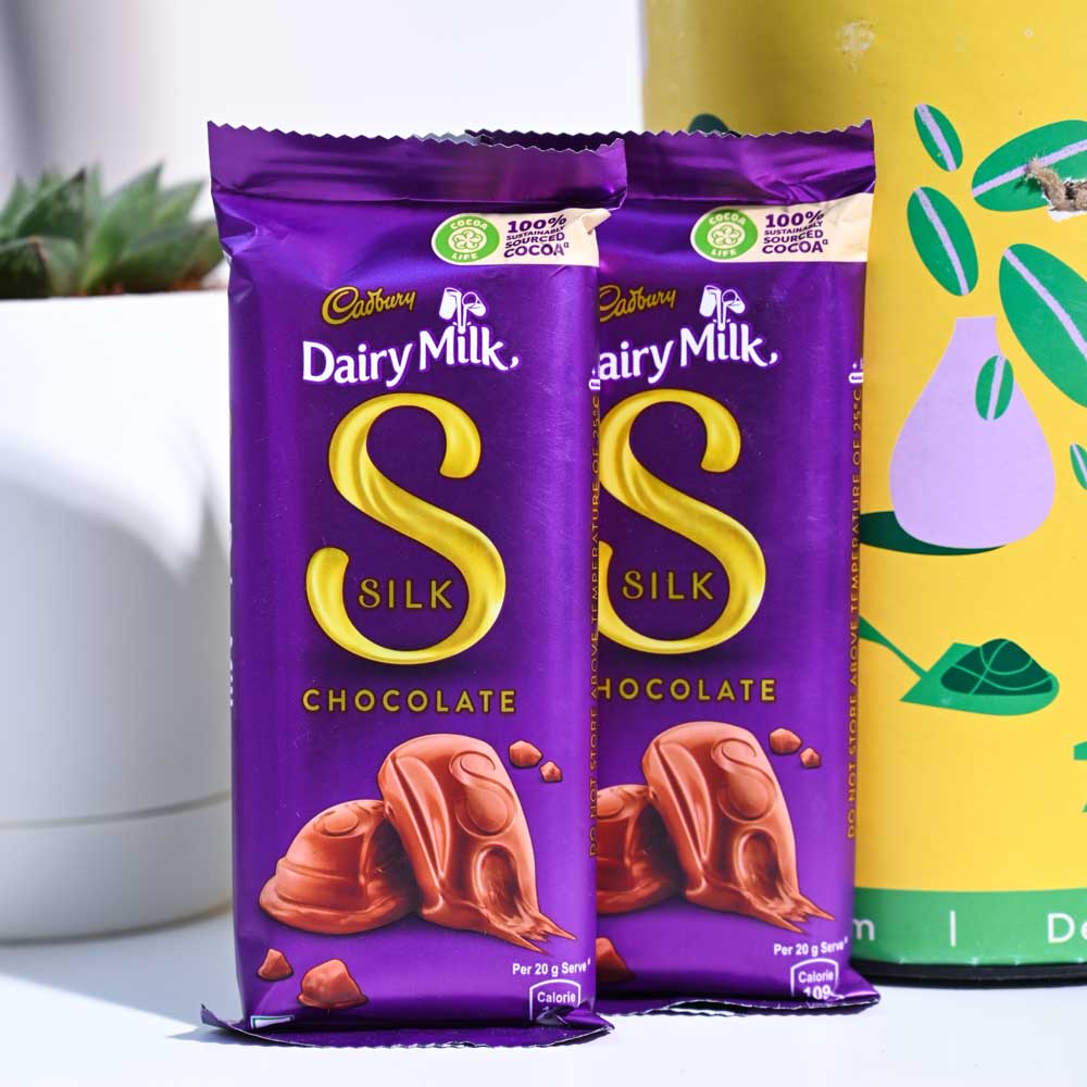 Haworthia Maculata Birthday Gift Hamper