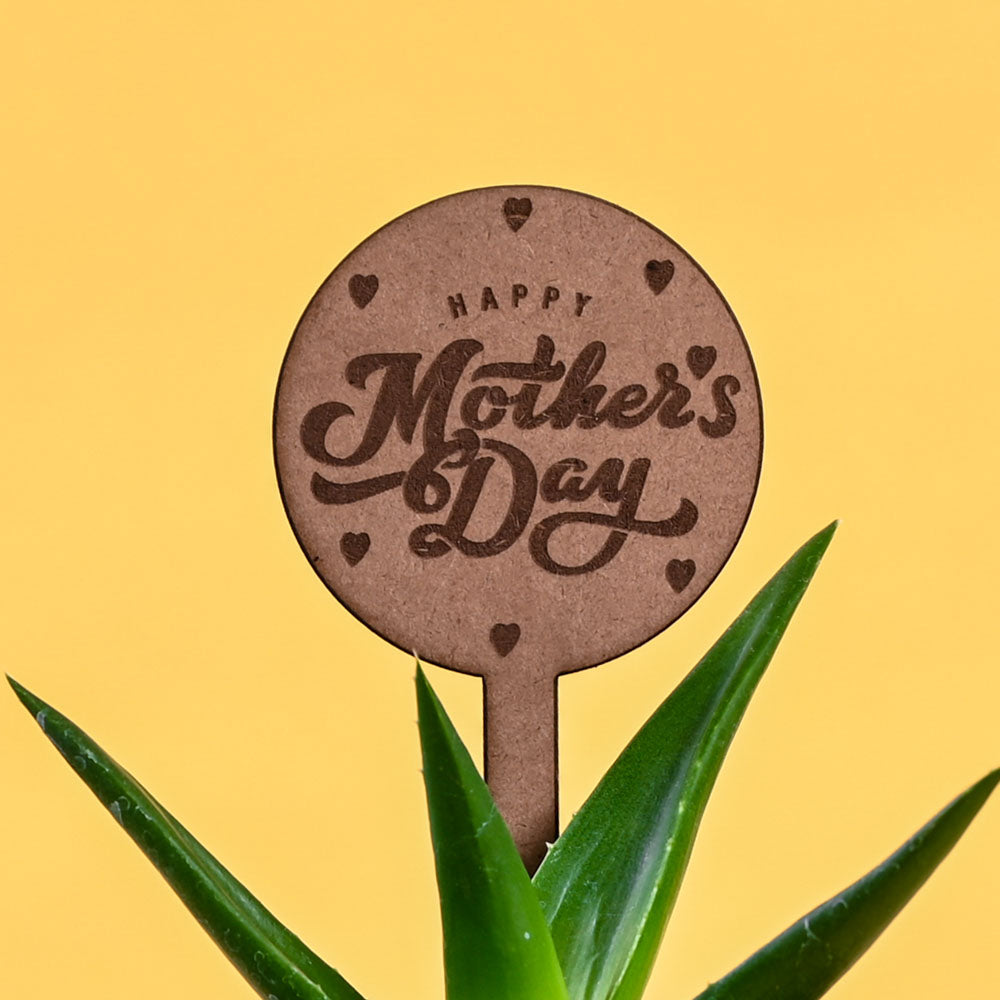 Aloe Vera Green Mini For Mother's Day Gifting