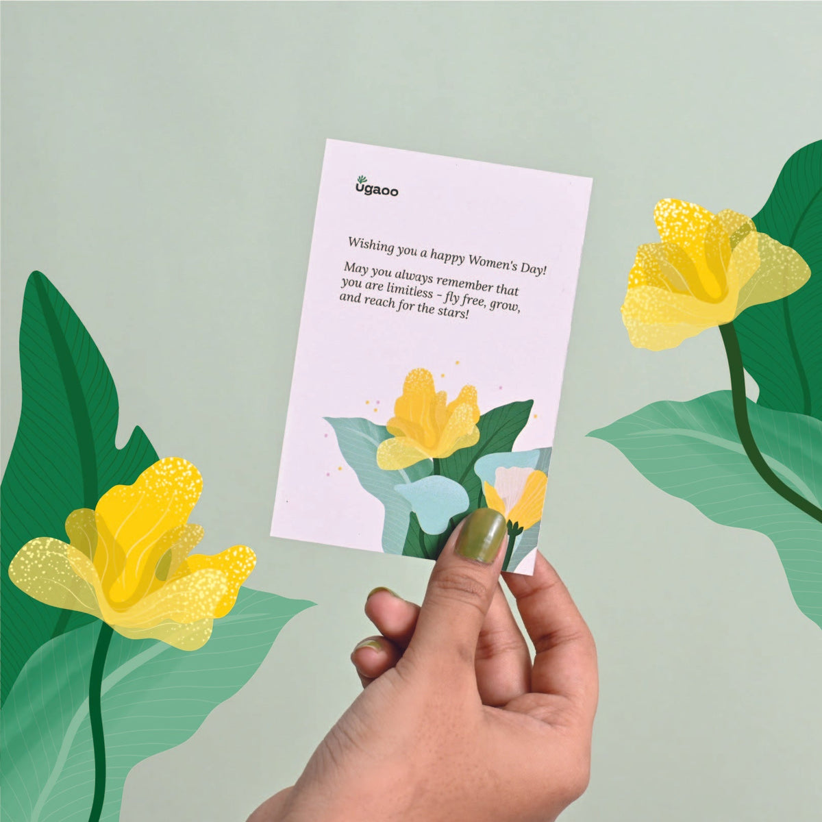 Oxycardium Green Plant Gift for Women's Day