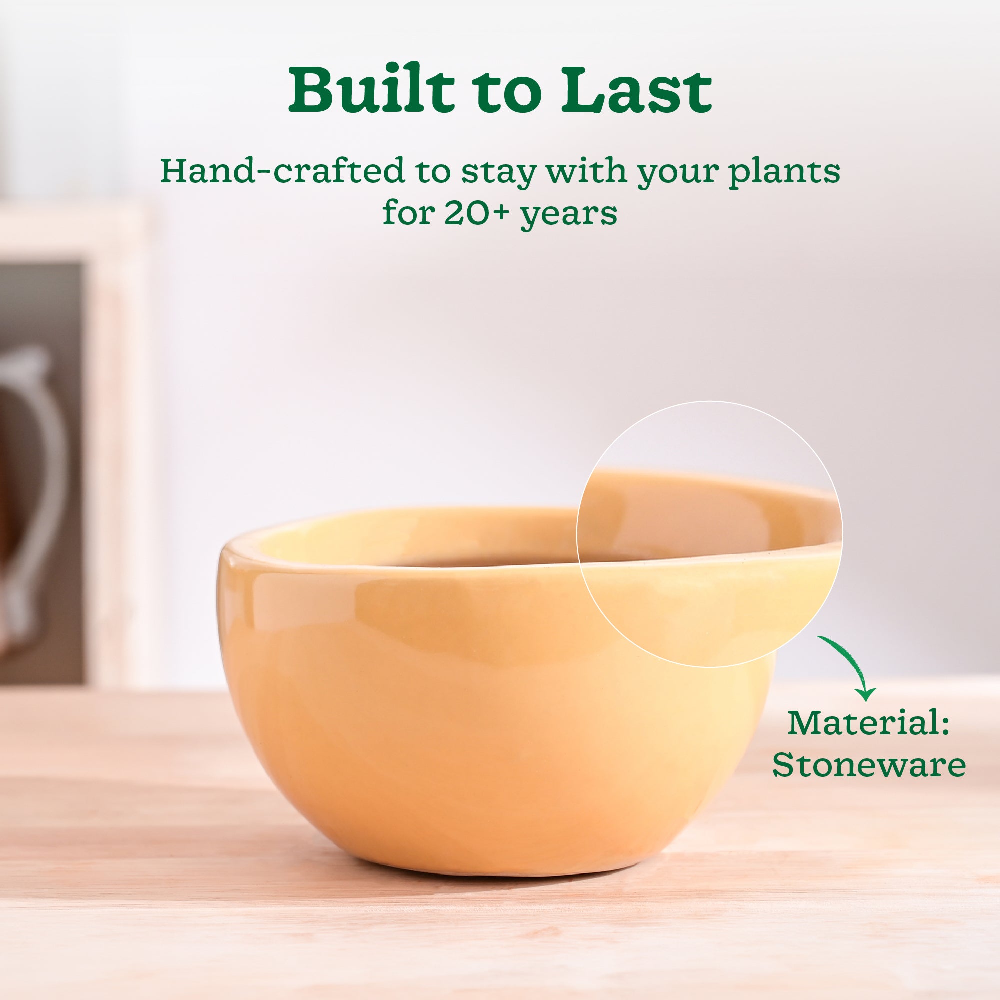 Nature's Hum Fat Ceramic Planter