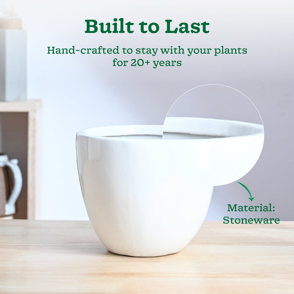 Echoing Eternity Ceramic Planter