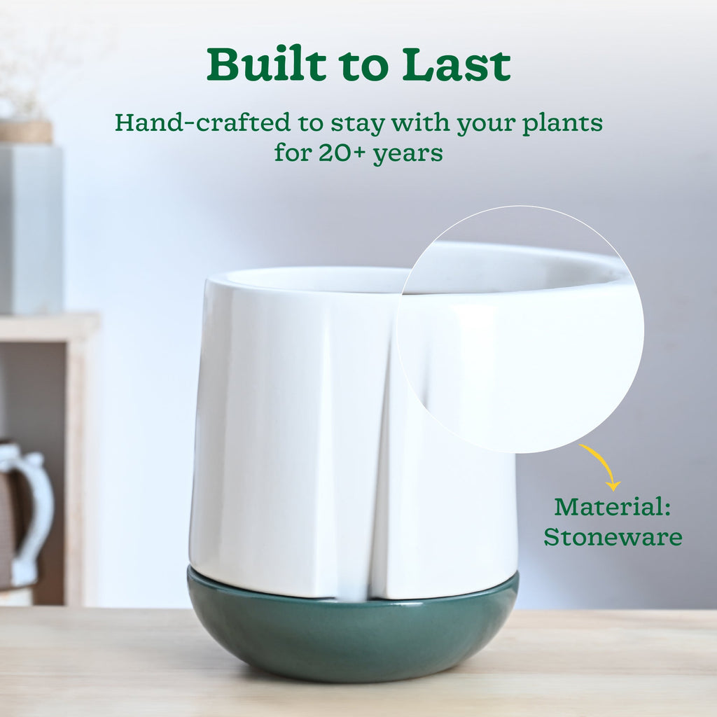 Moonlight Drama Ceramic Planter