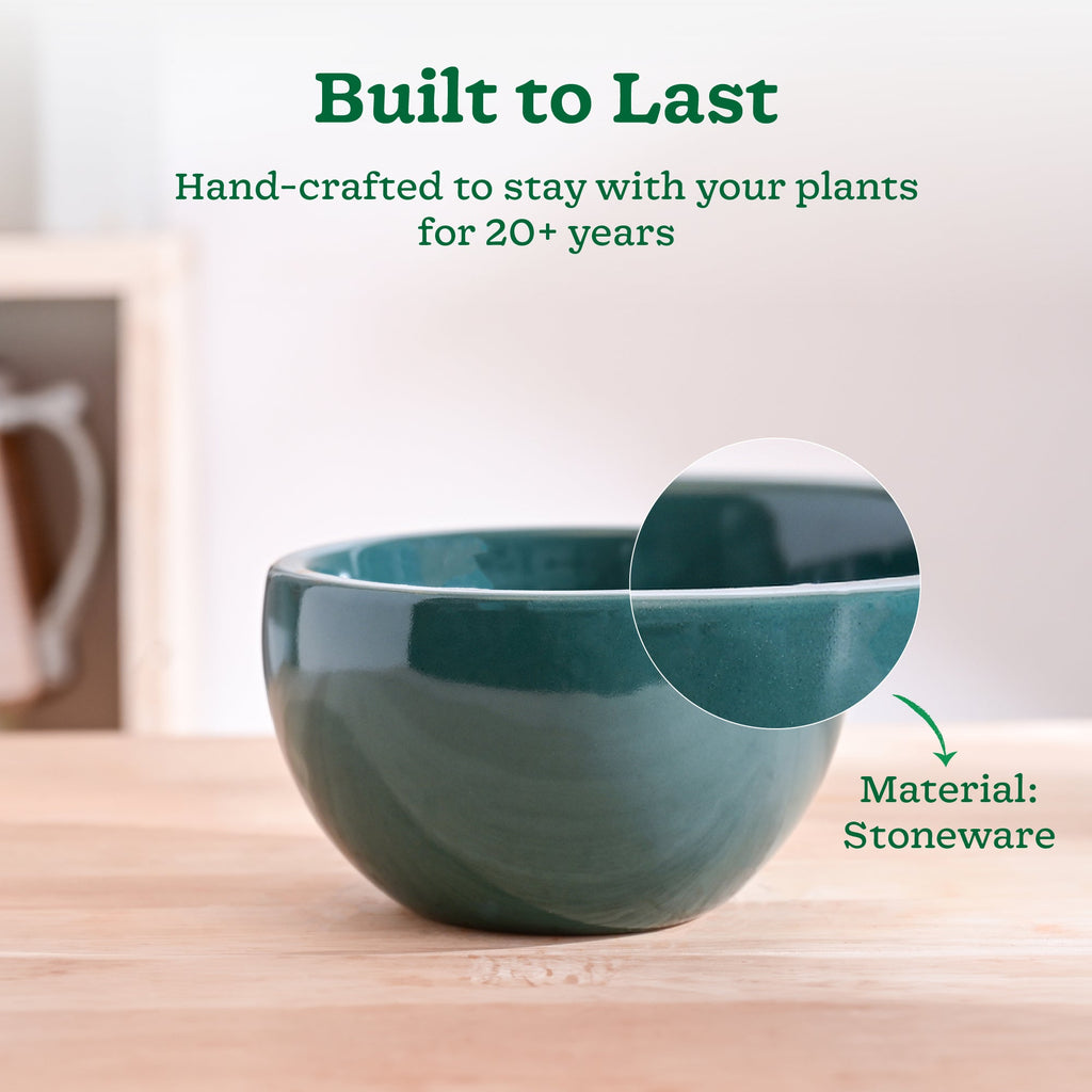 Nature's Hum Fat Ceramic Planter