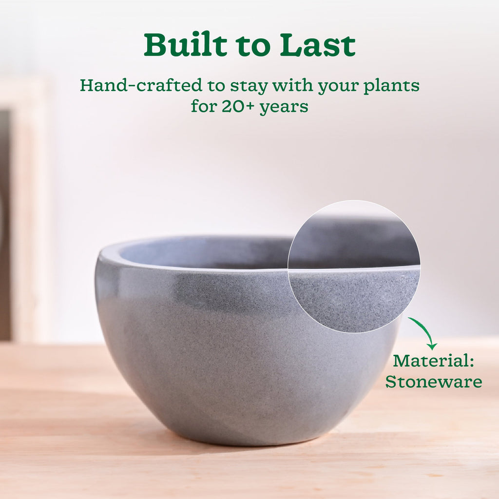 Nature's Hum Fat Ceramic Planter