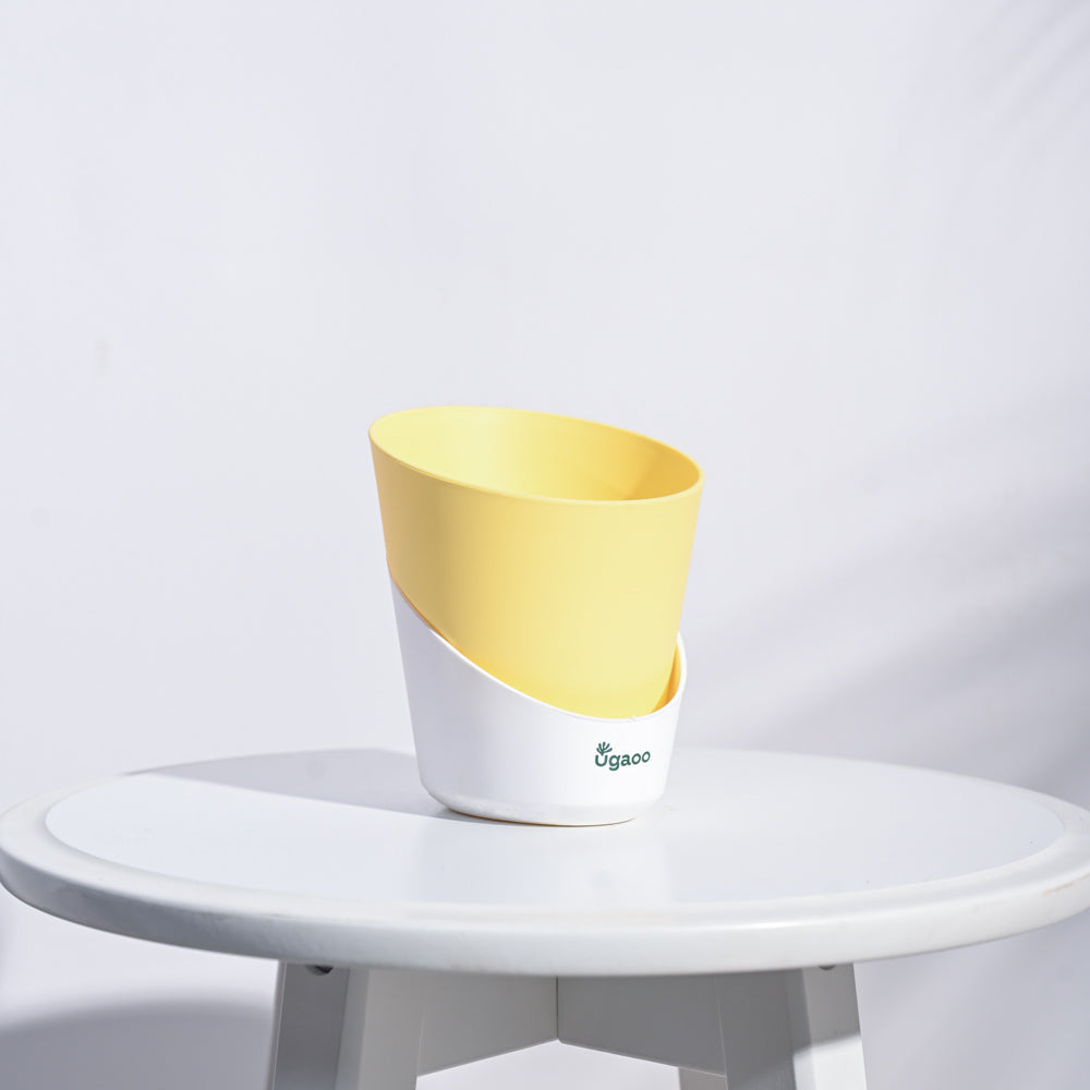 Atlantis Self Watering Planter - 4 Inch (Set of 5)