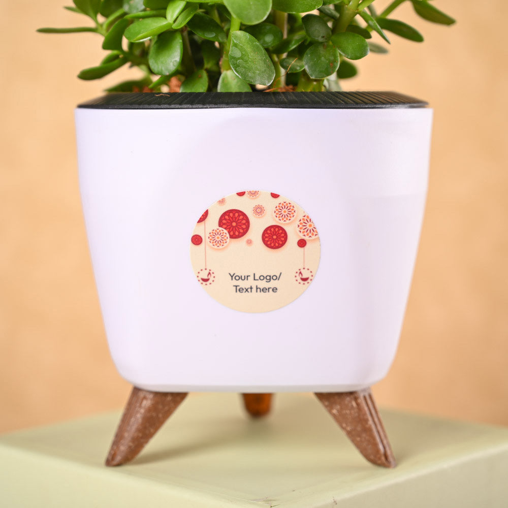 Jade Mini & Phool Incense Diwali Gft Hamper