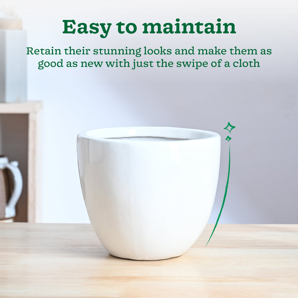 Echoing Eternity Ceramic Planter