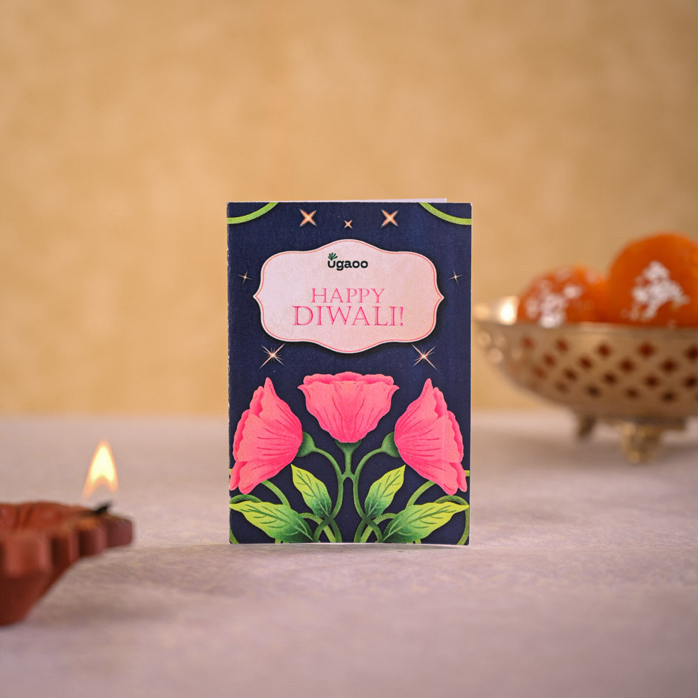 Jade Mini & Nutki Gourmet Nut Mix Diwali Gift Hamper