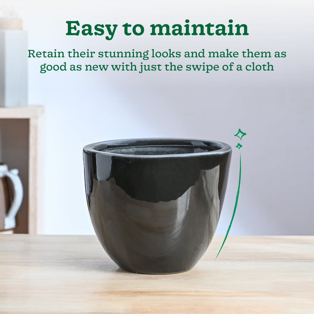 Echoing Eternity Ceramic Planter