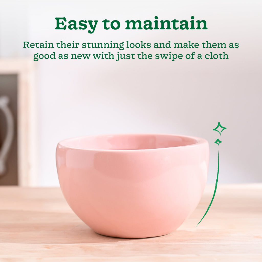 Nature's Hum Fat Ceramic Planter