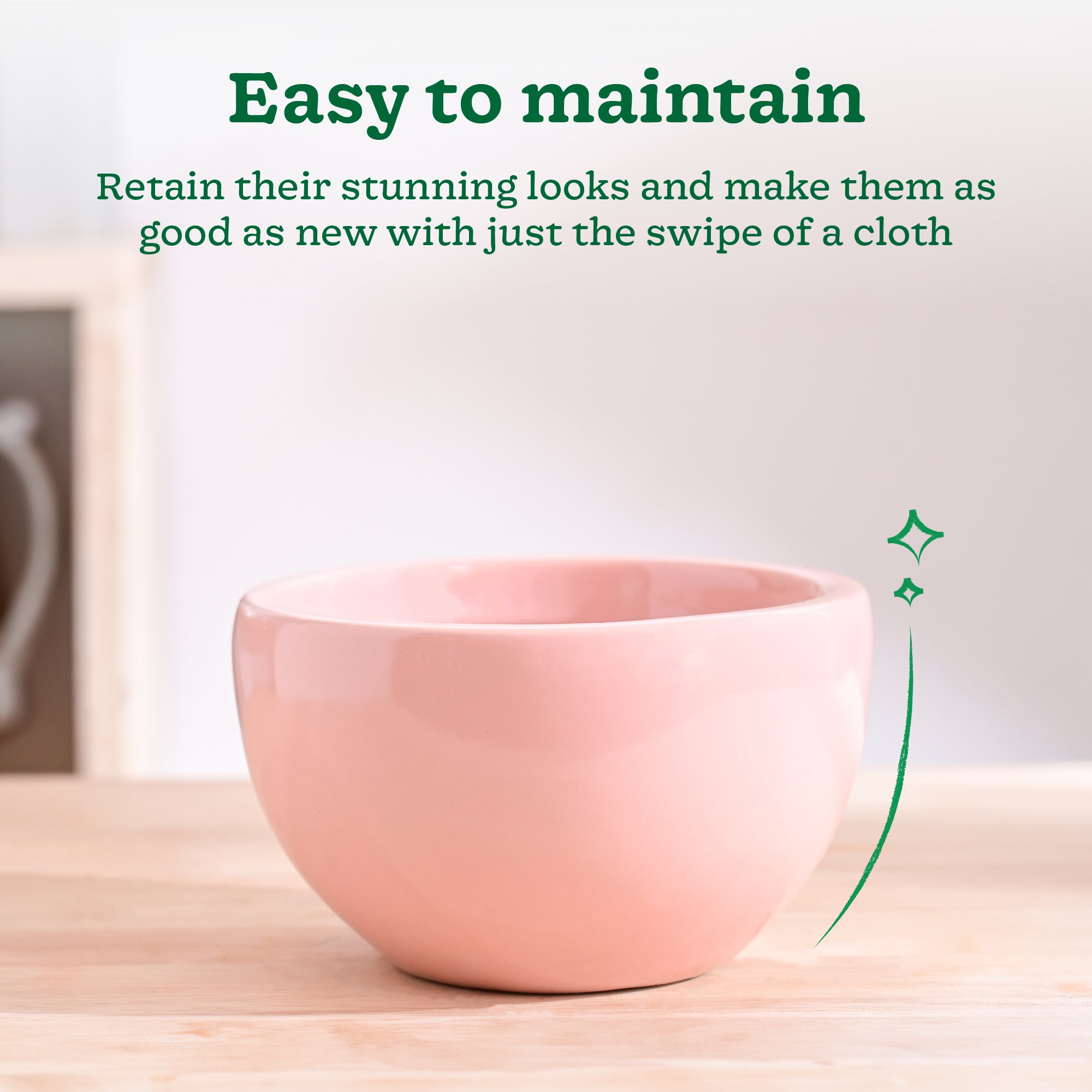 Nature's Hum Fat Ceramic Planter