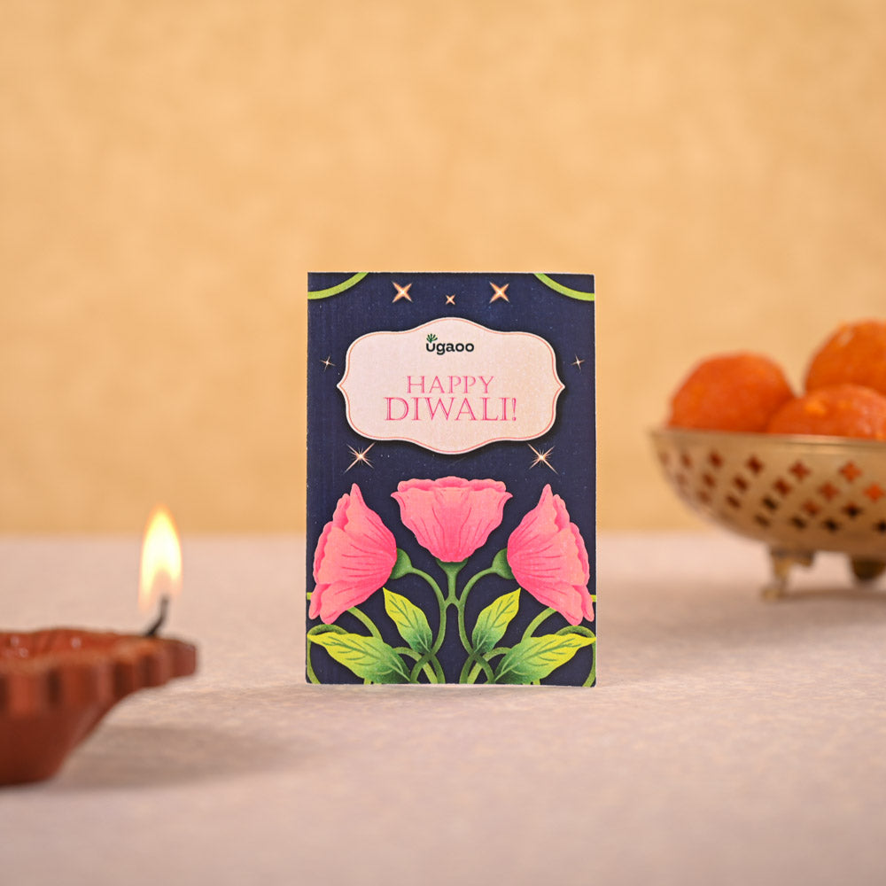 Aglaonema Red Plant & Phool Diwali Gift Hamper