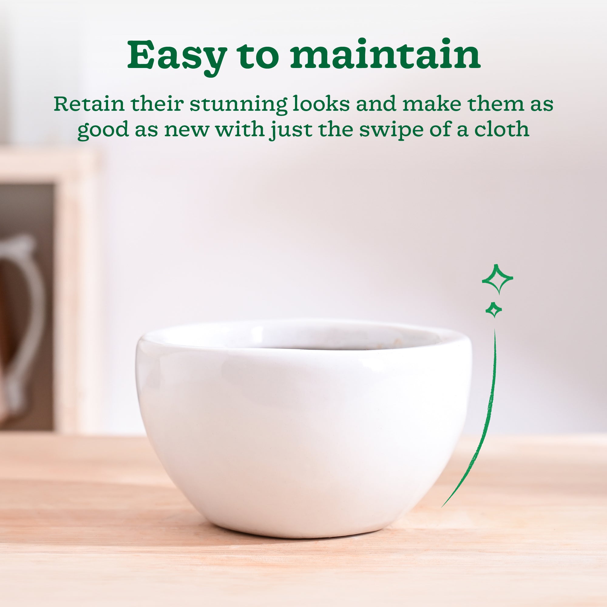 Nature's Hum Fat Ceramic Planter