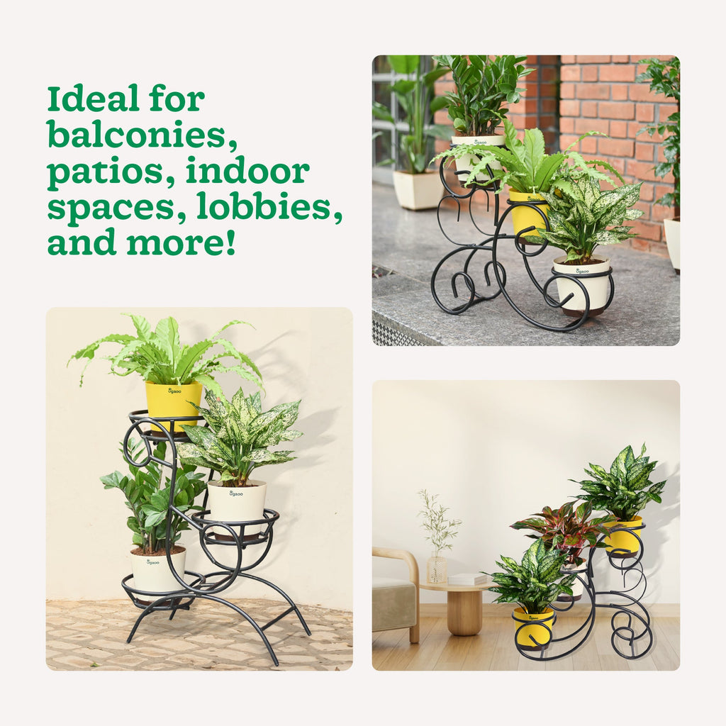 Oasis Metal Plant Stand