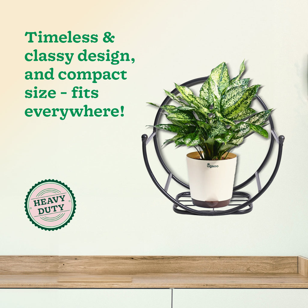 Concave Wall Mounting Planter