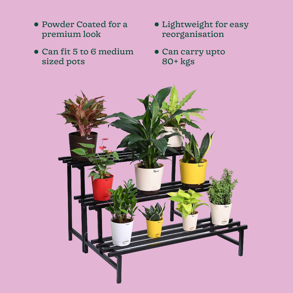 3-Tier Elevate Metal Plant Stand