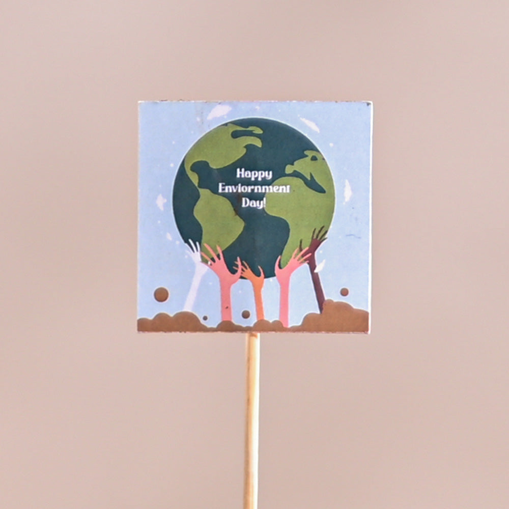 Bamboo Palm Plant For Environment Day Gifting