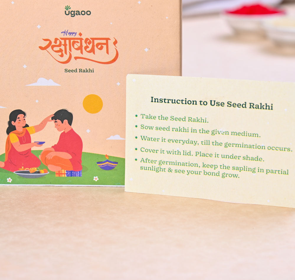 Plantable Seed Rakhi with Kalonji Seeds