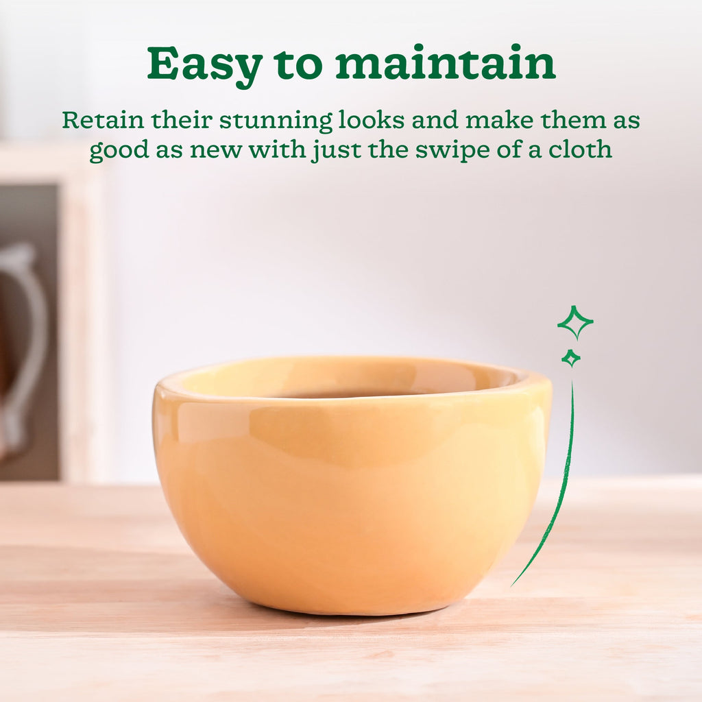 Nature's Hum Fat Ceramic Planter