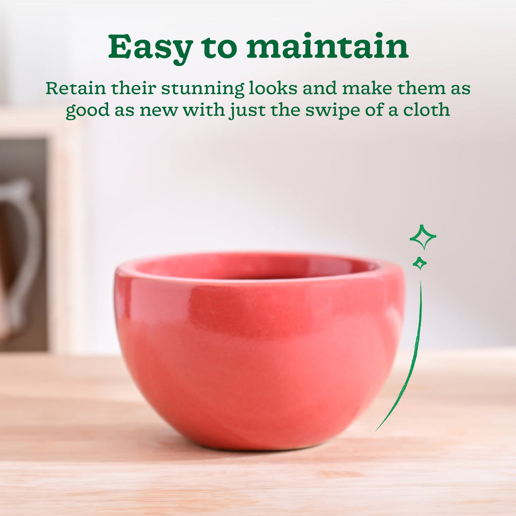 Nature's Hum Fat Ceramic Planter