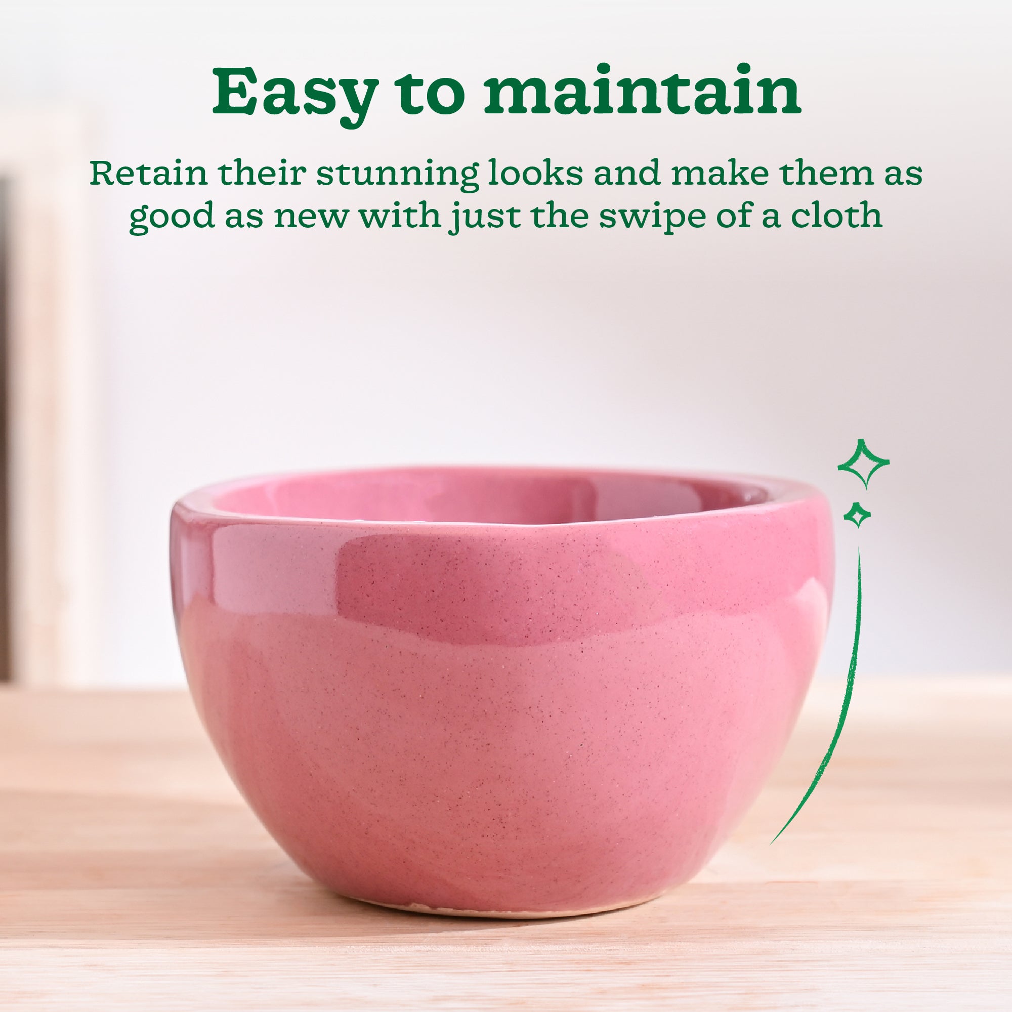 Nature's Hum Fat Ceramic Planter