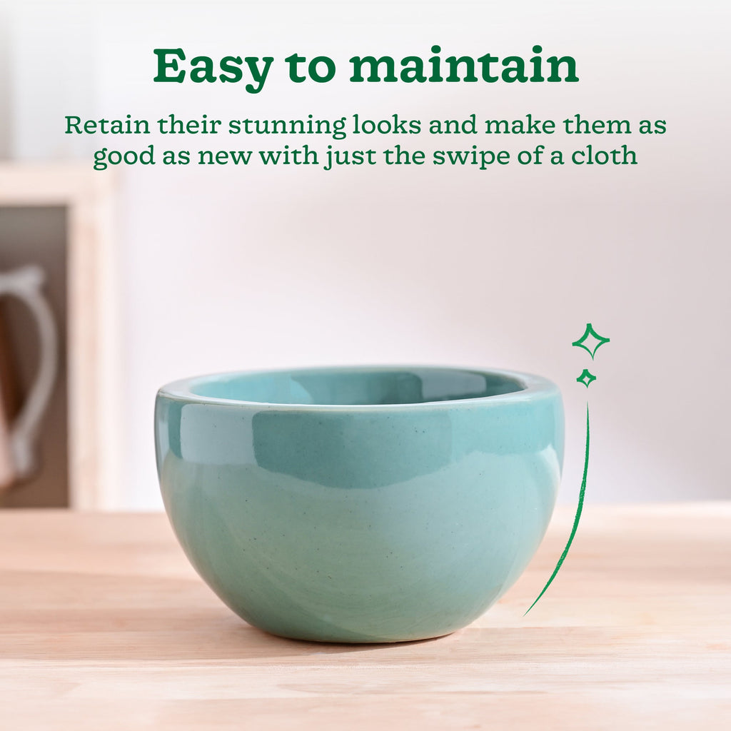 Nature's Hum Fat Ceramic Planter