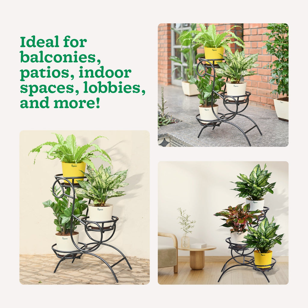 Flora Plant Stand