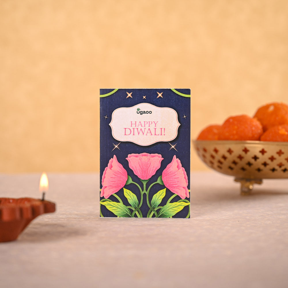 Philodendron Ceylon & Smoor Gift Hamper