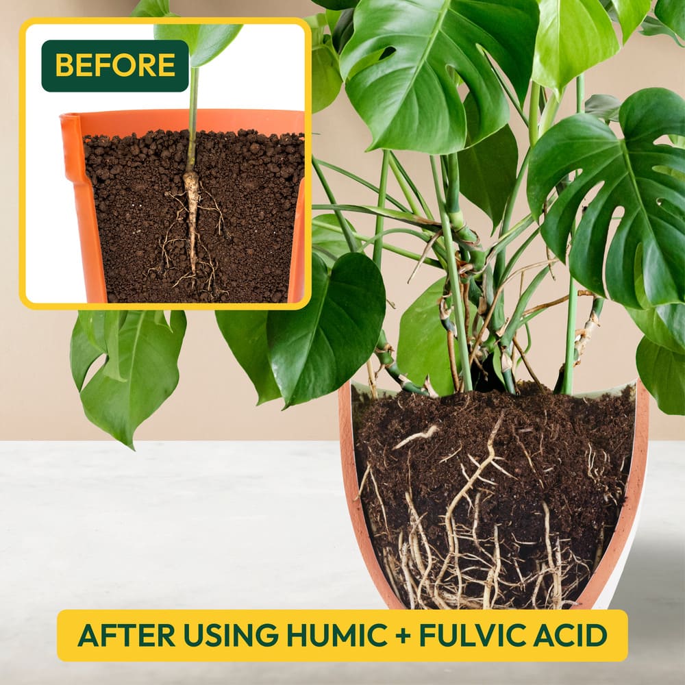 Humic & Fulvic Acid Liquid Fertilizer- 1 Liter
