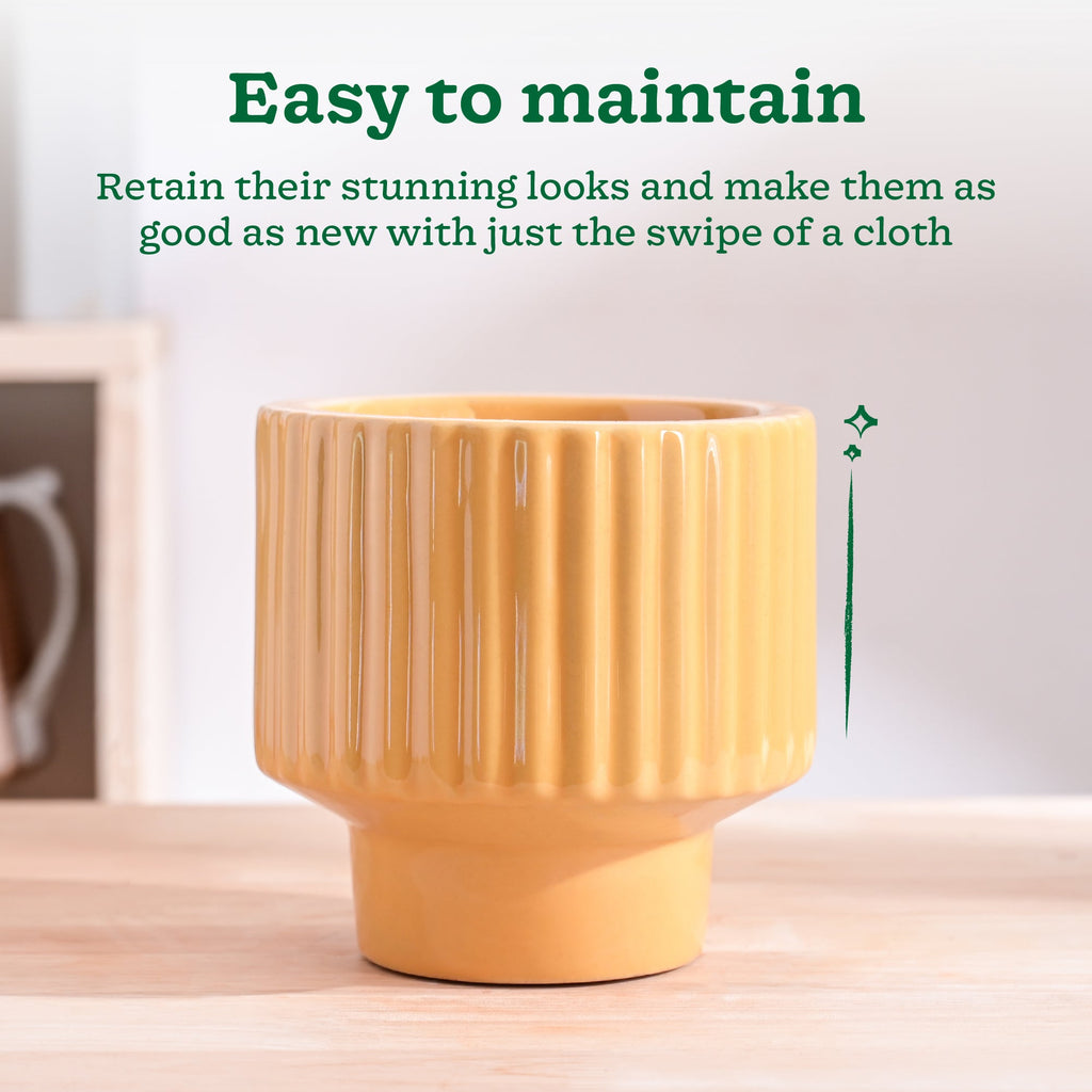 Forms of Love Ceramic Planter