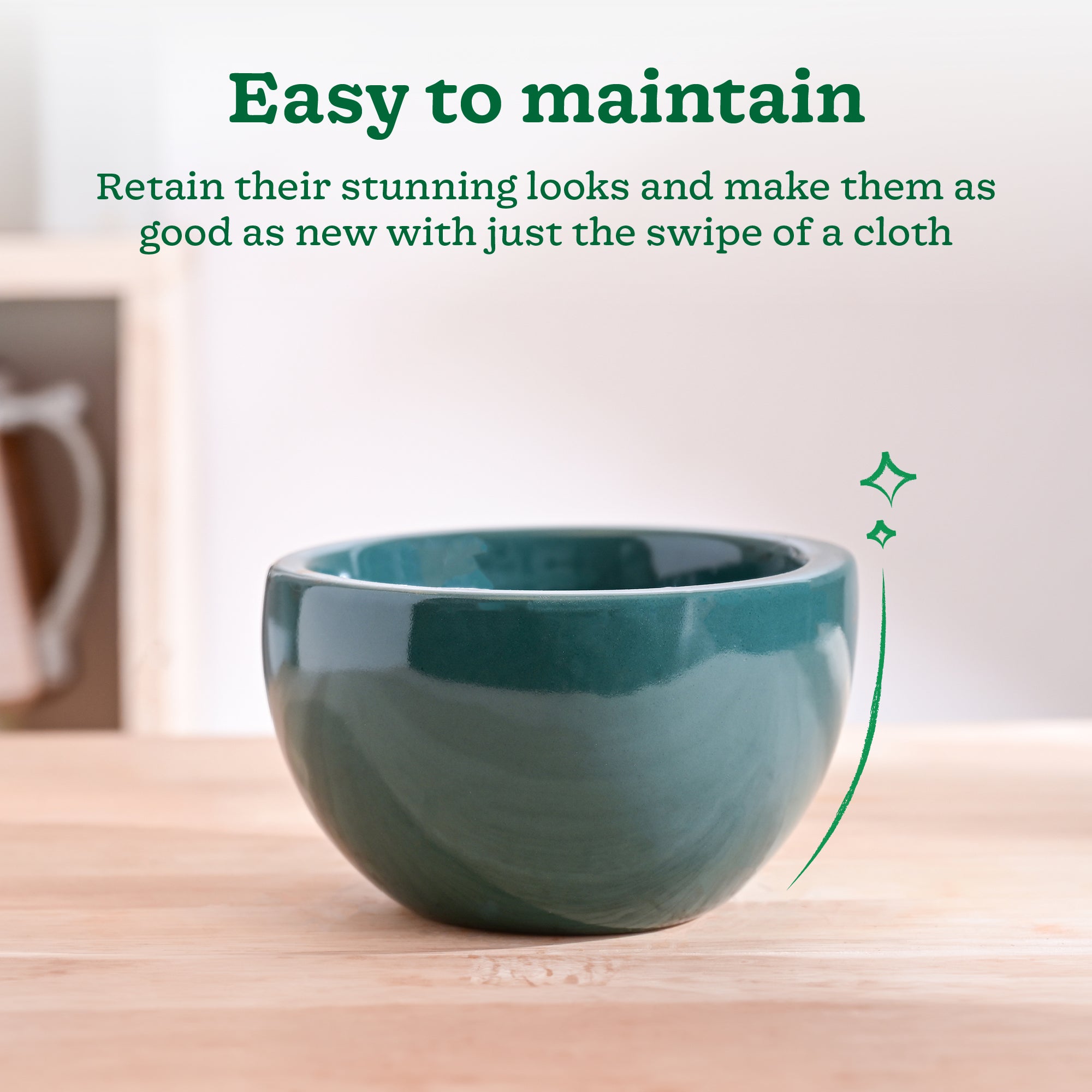 Nature's Hum Fat Ceramic Planter