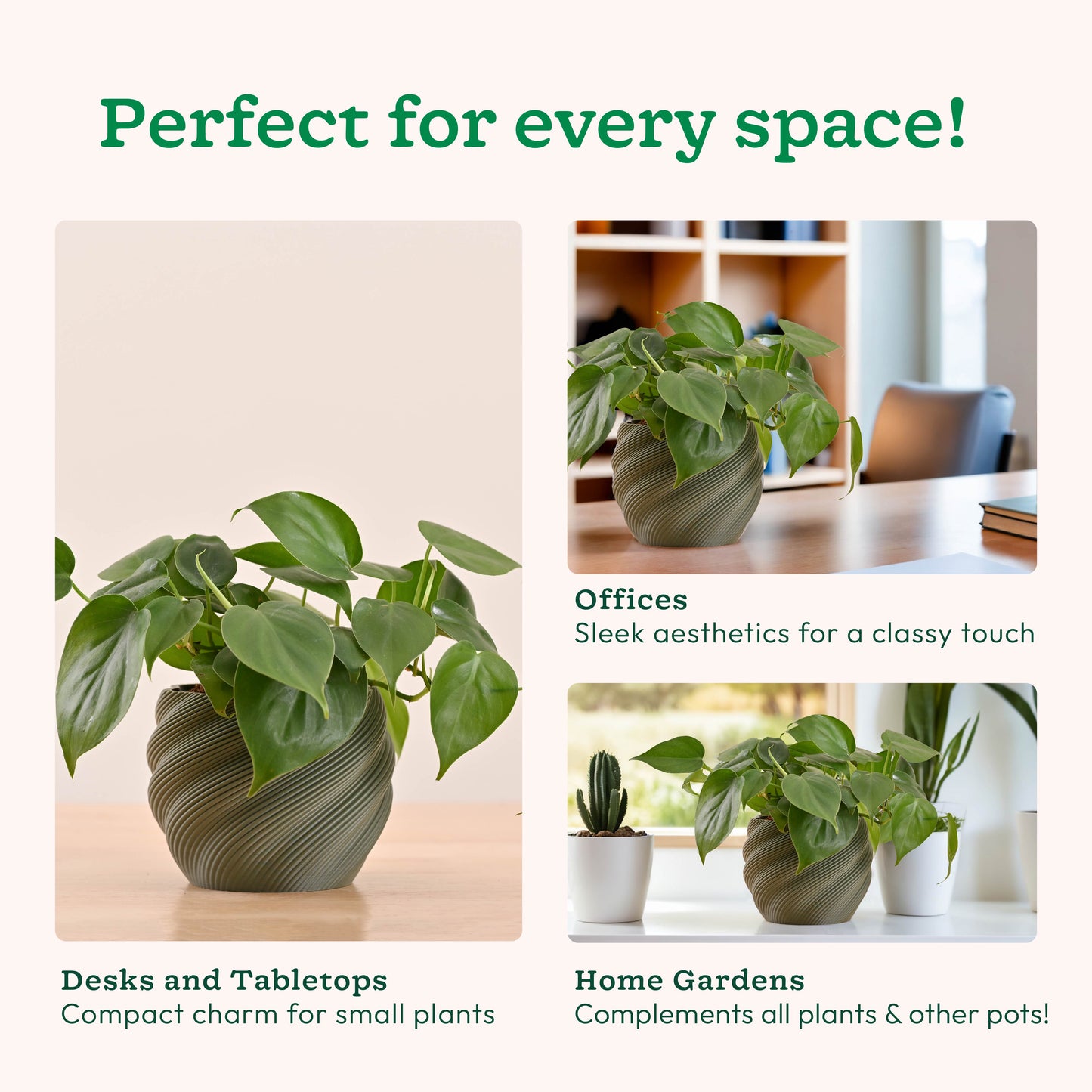 Imperia Planter