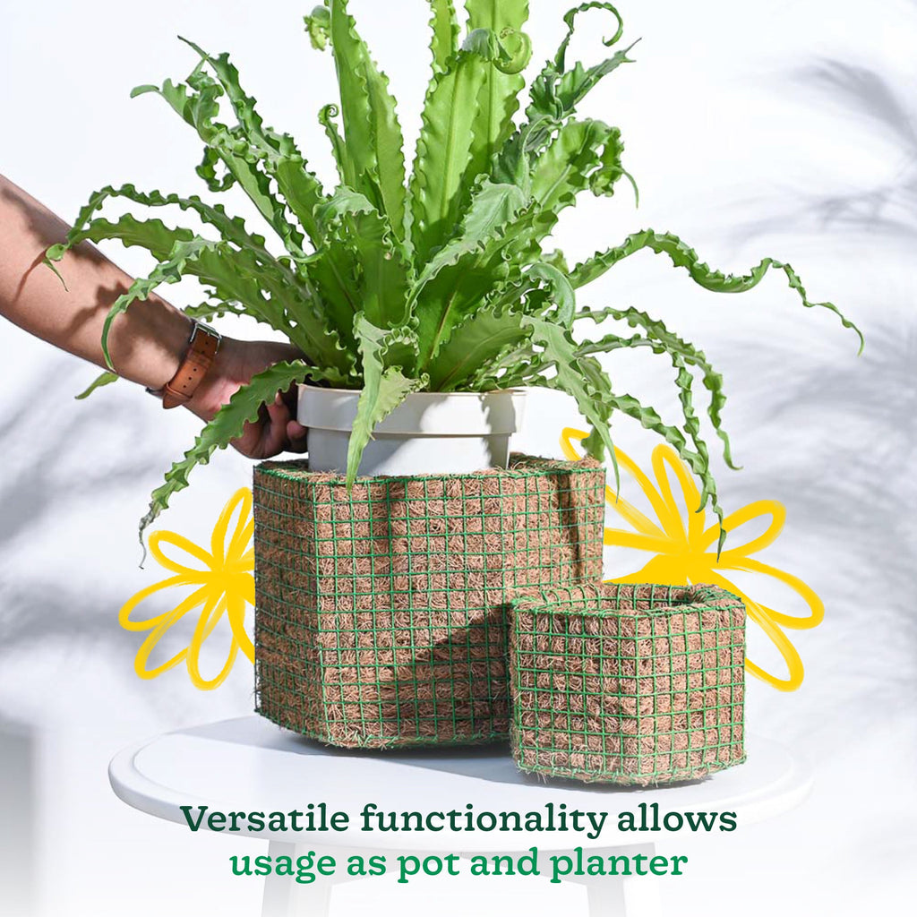 Hexa Coir Planter - Set of 2