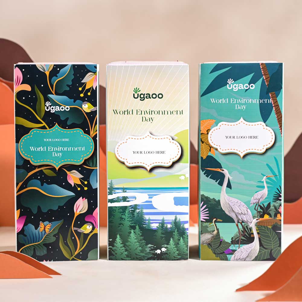 Crassula Ovata Plant For Environment Day Gifting