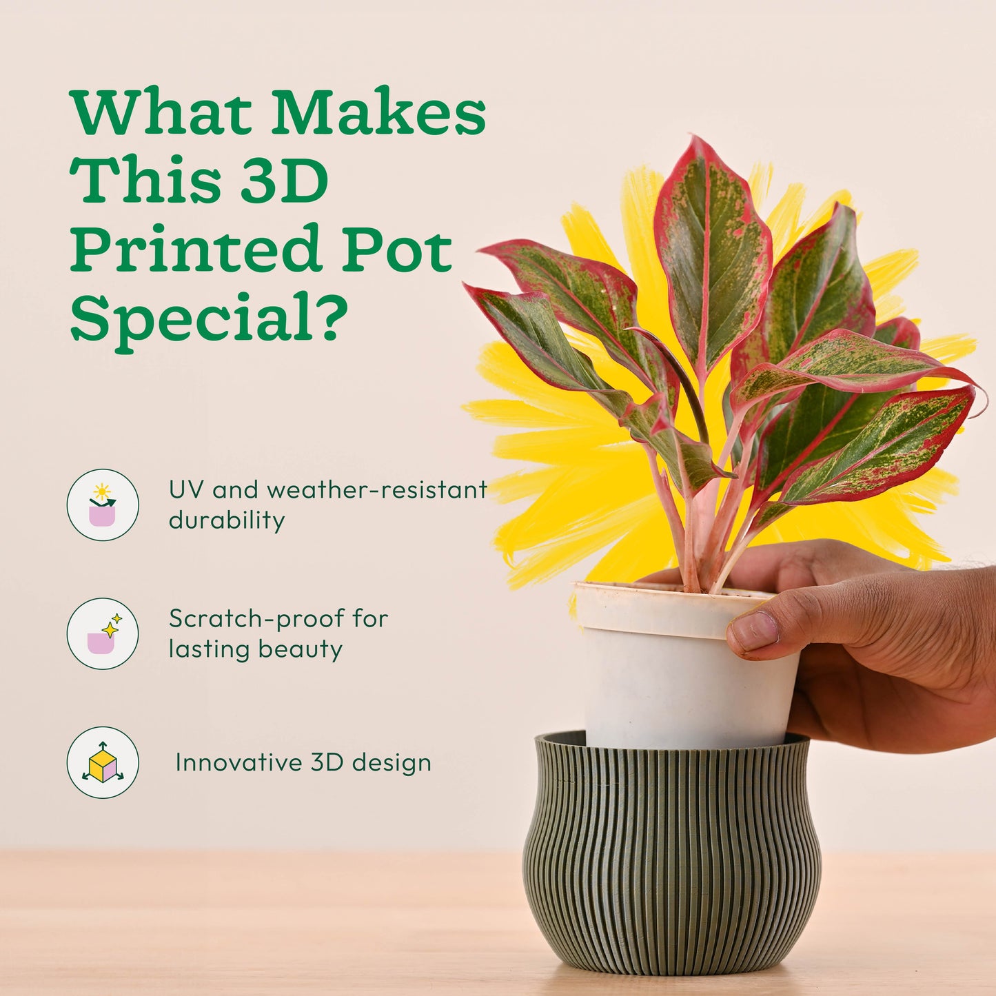 Crown Planter