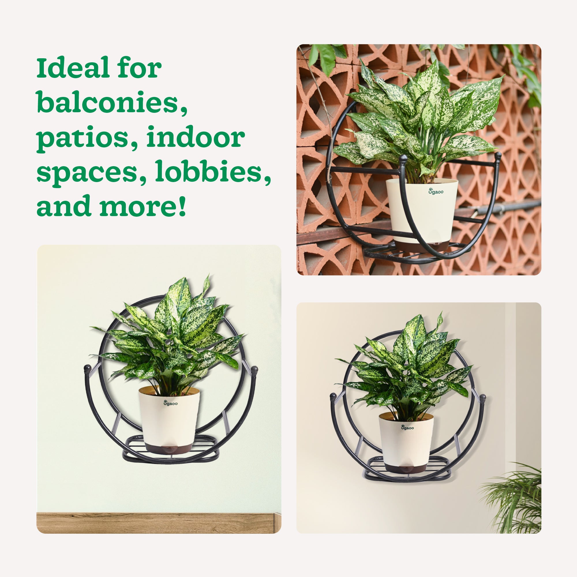 Concave Wall Mounting Planter