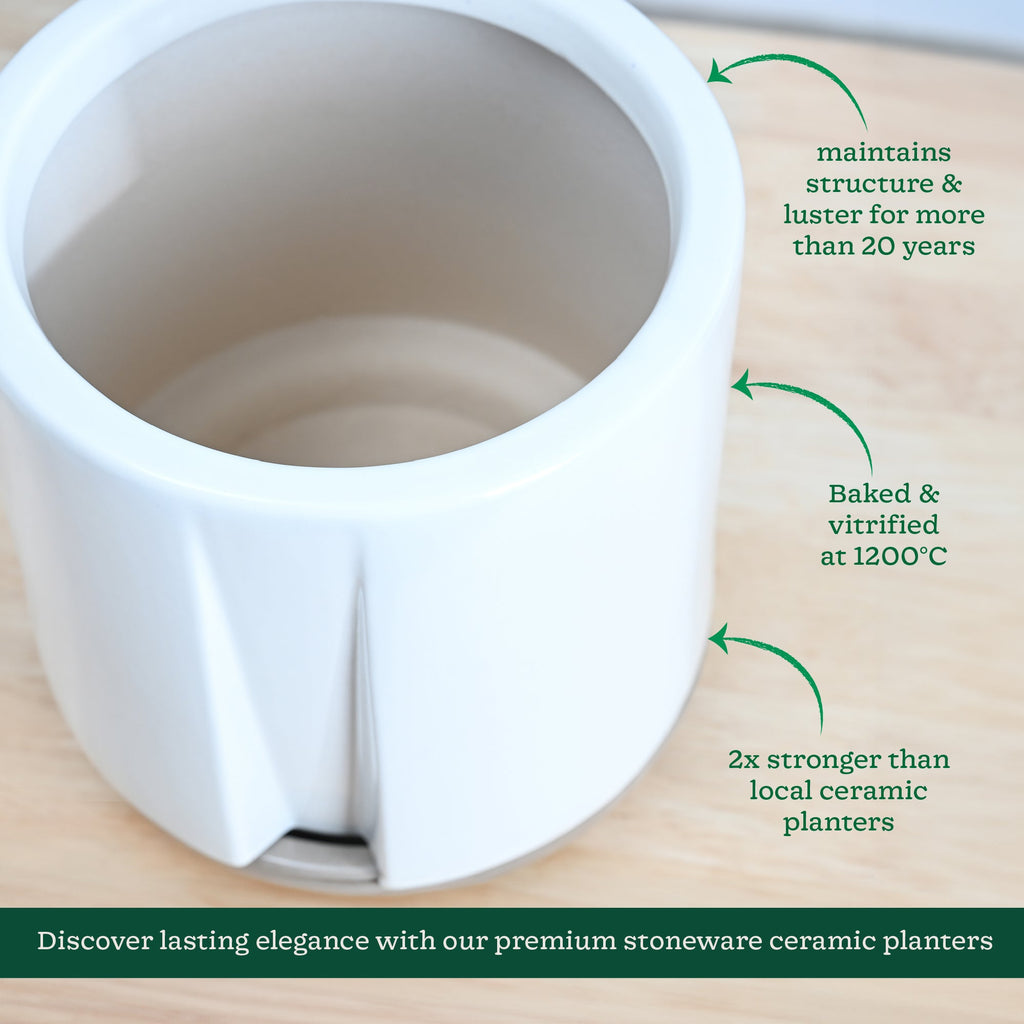 Moonlight Drama Ceramic Planter