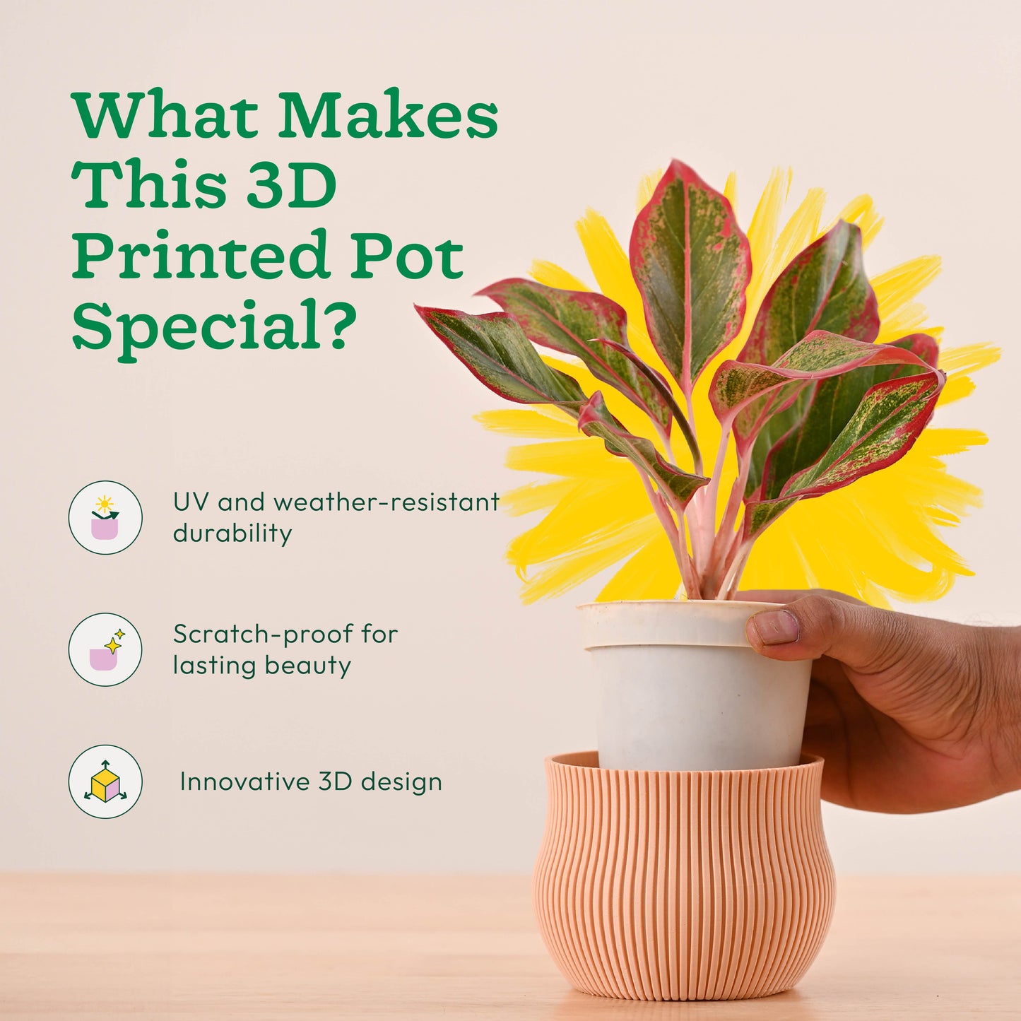 Crown Planter