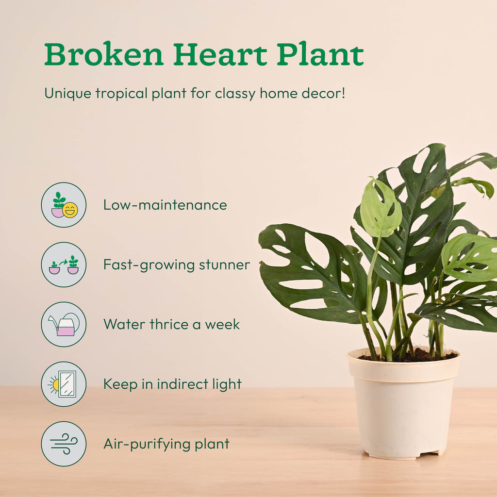 GroPot Combo - Set of 4